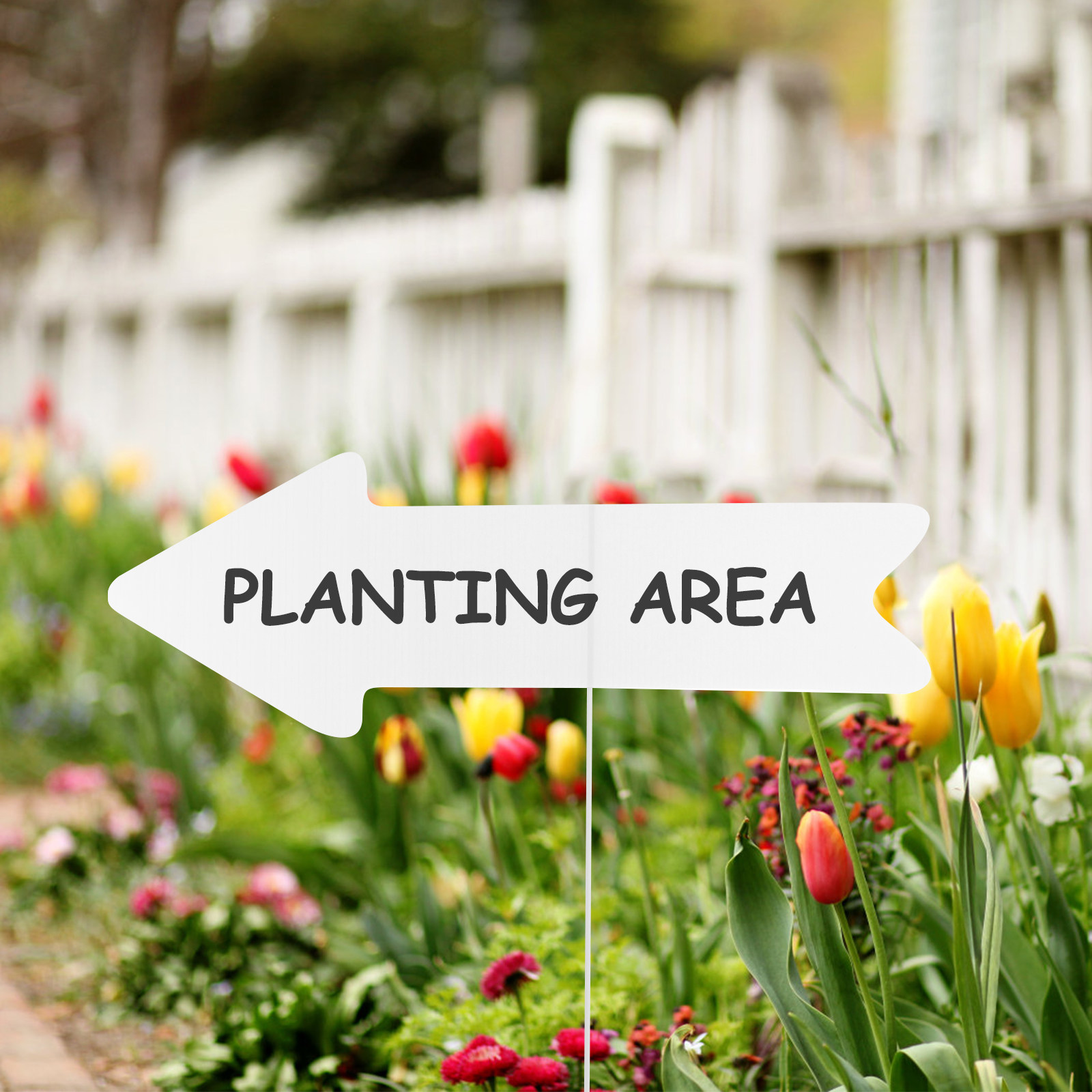 Painéis de Jardim em Branco, P - Yard Sign Blank avaliação e preço